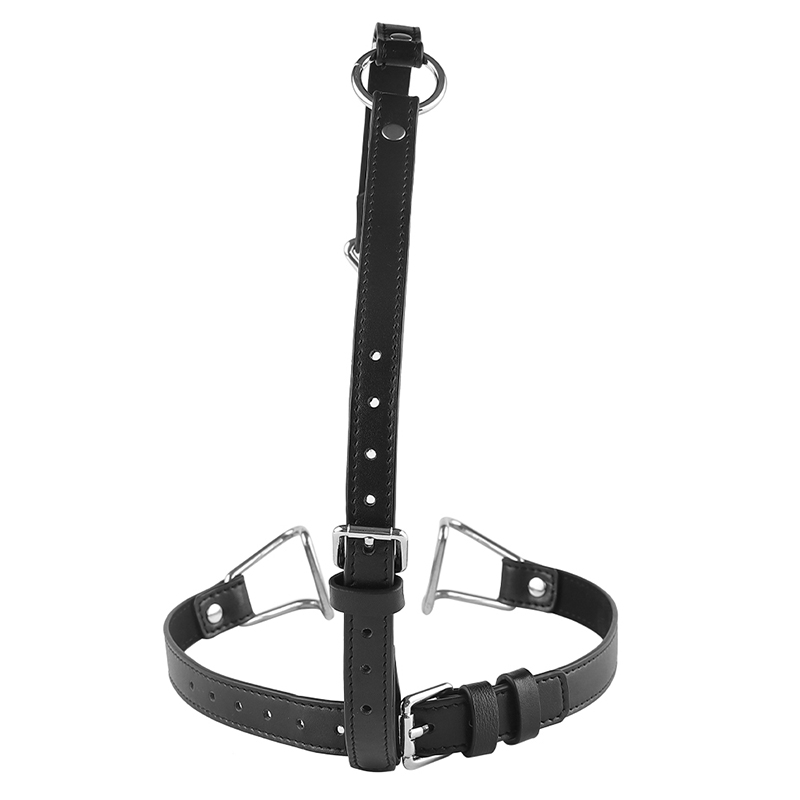 SM الفم المكونات الإناث الرقيق - مراجعة Women'S Fashion Harness وسعره