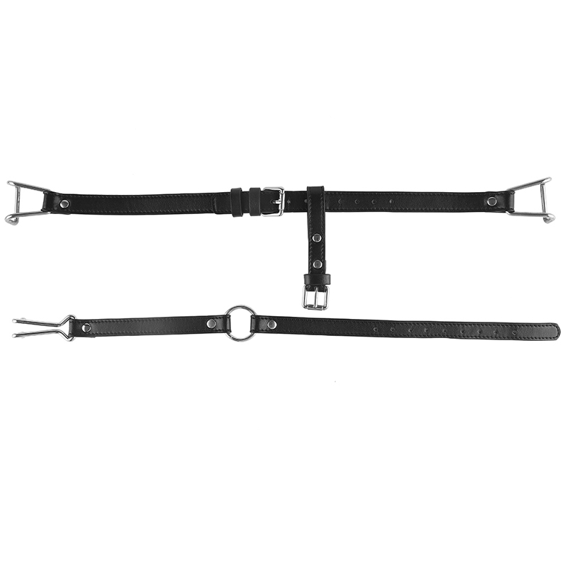 SM الفم المكونات الإناث الرقيق - مراجعة Women'S Fashion Harness وسعره